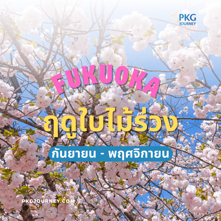 ฟุกุโอกะ ฤดูใบไม้ร่วง