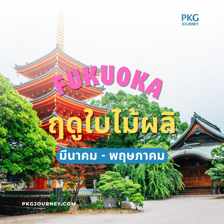 ฟุกุโอกะ ฤดูใบไม้ผลิ