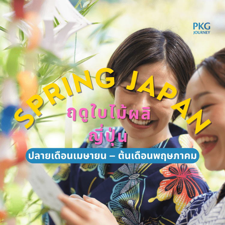 ฤดูใบไม้ผลิ ญี่ปุ่น ปลายเดือนเมษายน