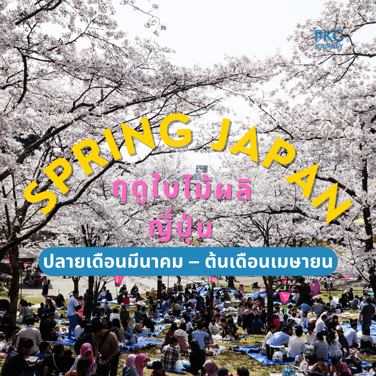 ฤดูใบไม้ผลิ ญี่ปุ่น ปลายเดือนมีนาคม