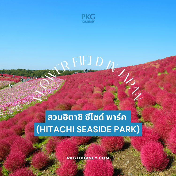 สวนฮิตาชิ ซีไซด์ พาร์ค