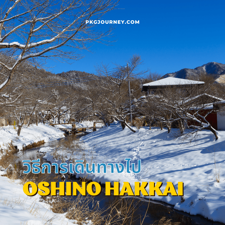 วิธีการเดินทางไปหมู่บ้านน้ำใส Oshino Hakkai