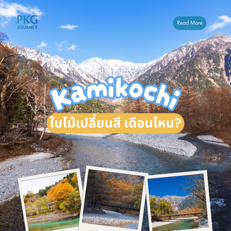คามิโคจิ ใบไม้เปลี่ยนสี เดือนไหน?