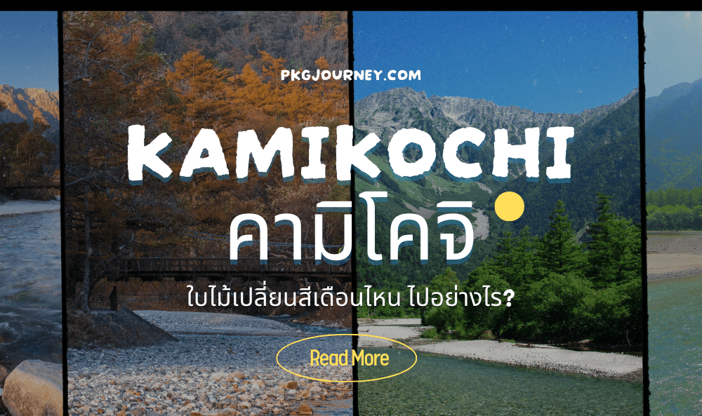คามิโคจิ ใบไม้เปลี่ยนสี