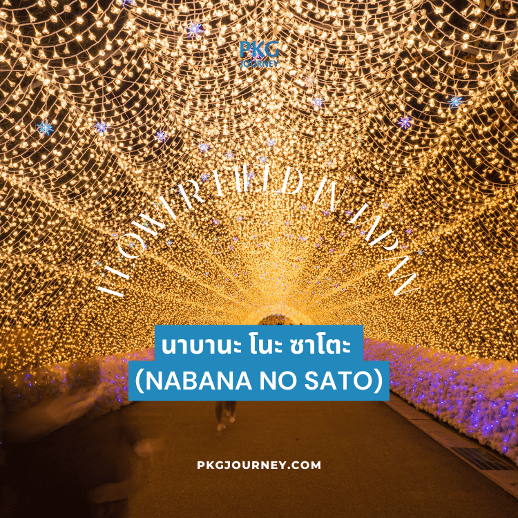 นาบานะ โนะ ซาโตะ