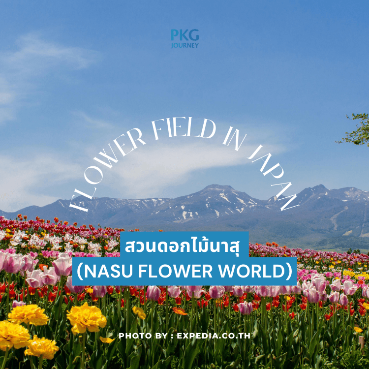 สวนดอกไม้นาสุ