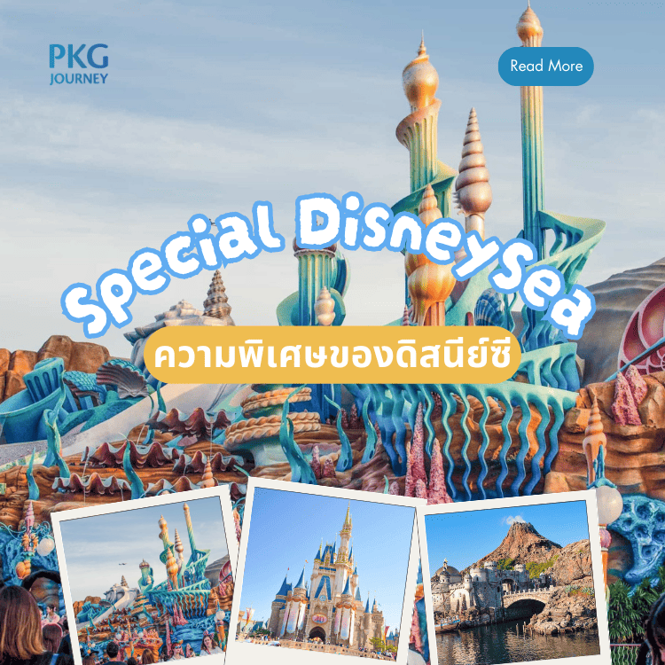 ความพิเศษของ ดิสนีย์ซี
