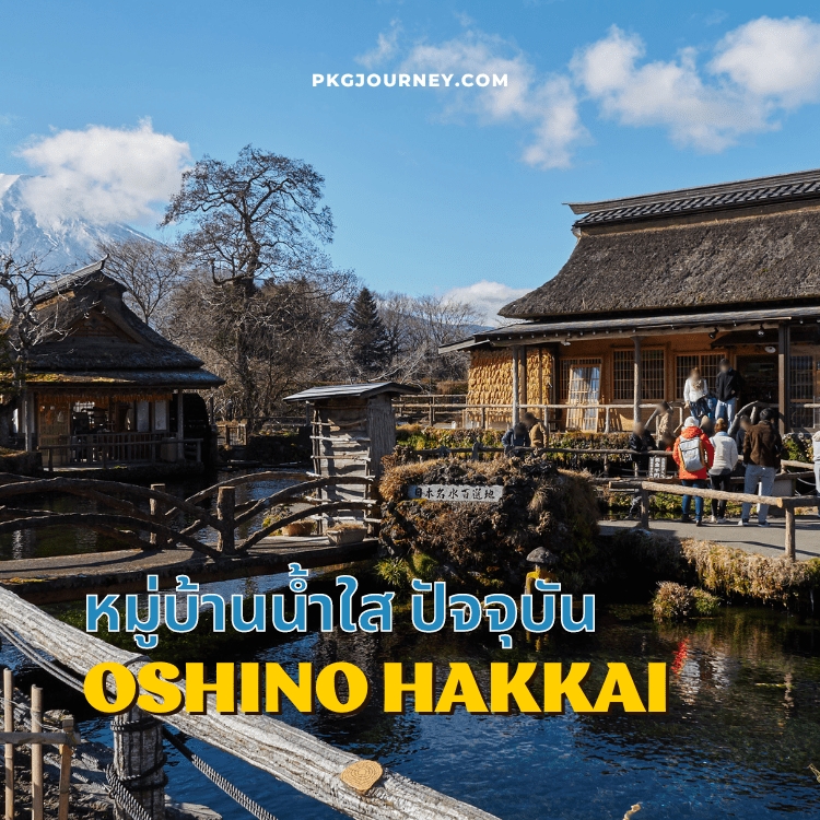 หมู่บ้านน้ำใส Oshino Hakkai ในปัจจุบัน