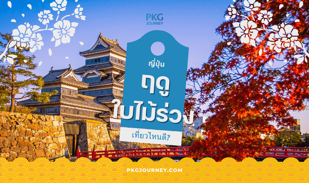 ฤดูใบไม้ร่วง ญี่ปุ่น