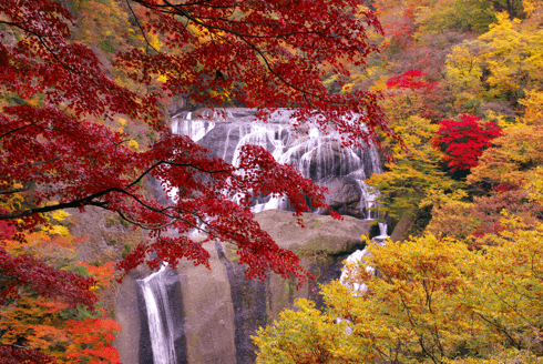 Fukuroda Falls Fukuroda Falls 1ใน3 น้ำตกที่ขี้นชื่อที่สุดในญี่ปุ่น กับวิวใบไม้เปลี่ยนสี