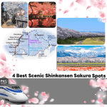 4จุดชมซากุระตามเส้นทางรถไฟชินคันเซ็น ไม่พลาดจุดชมซากุระสวยๆ ที่อยู่ใกล้กับเส้นรถไฟสายนี้มาให้เพื่อนๆ ได้ตามไปเที่ยวกัน