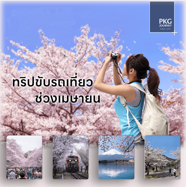 sakura trip