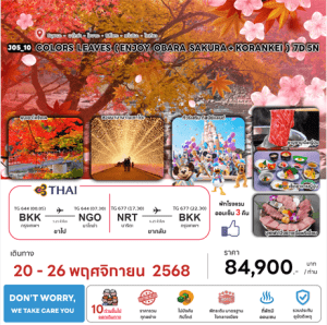 ทัวร์ญี่ปุ่น COLORS LEAVES OBARA SAKURA KORANKEI ชมใบไม้เปลี่ยนสีพร้อมซากุระ อาหารสุดพิเศษ โรงแรม4ดาว ออนเซ็น3คืน บินตรงการบินไทย FULL SERVICE