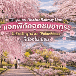 แจกพิกัดจุดชมซากุระในจังหวัดฟุกุชิมะ รวมจุดสวยห้ามพลาด เช่น เส้นทางรถไฟ Nicchu และจุดถ่ายรูปยอดนิยมช่วงฤดูใบไม้ผลิ