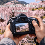 จุดถ่ายรูปซากุระสวยๆ รวมสถานที่ยอดนิยมในญี่ปุ่น วิวอลังการ ถ่ายรูปสวยทุกมุม เหมาะสำหรับสายเที่ยวและสายถ่ายภาพ