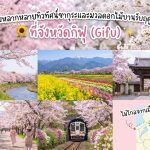 เที่ยวชมซากุระและดอกไม้ฤดูใบไม้ผลิ จังหวัดกิฟุ รวมจุดชมดอกไม้บานสวยงาม บรรยากาศธรรมชาติ เดินทางง่าย ใกล้นาโกย่า