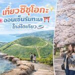 แพลนเที่ยวชิซุโอกะ ไม่ไกลจากโตเกียว รวมเส้นทางท่องเที่ยวสุดคุ้ม ทั้งทะเล ออนเซ็น ปากปล่องภูเขาไฟ และสวนซากุระ เหมาะสำหรับทริป 2–3 วัน