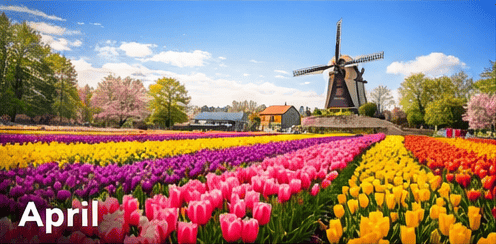 ทัวร์ยุโรปเดือนเมษายน ฤดูใบไม้ผลิ ดอกไม้บาน ทิวลิปยุโรป | PKG JOURNEY