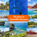 ขับรถเที่ยวฮอกไกโด 6 วัน พร้อมพาสทางด่วน วางแผนเส้นทาง Road Trip สวยๆ ประหยัดค่าเดินทาง ขับง่าย เที่ยวได้ครบทั่วฮอกไกโด