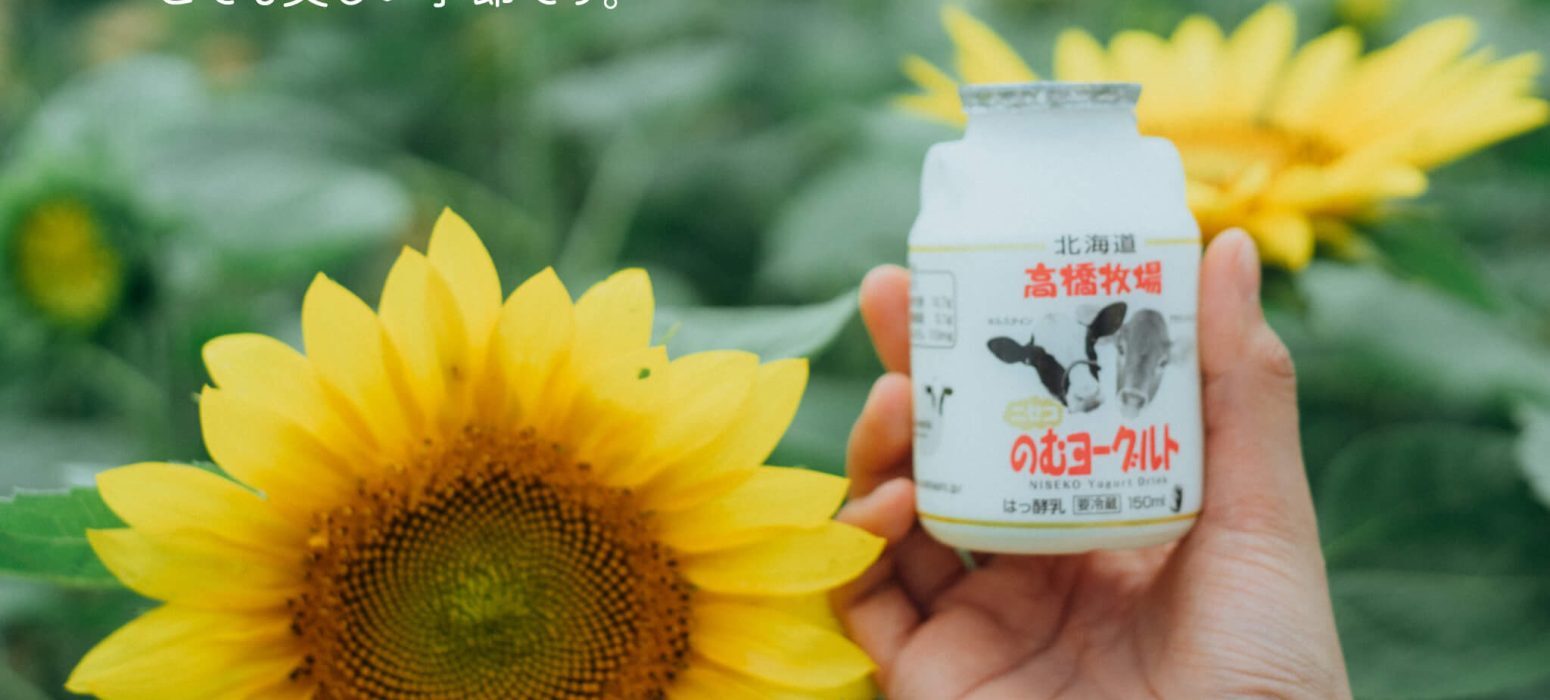 Milk Kobo Complex Niseko Hokkaido จุดเช็คอินฟาร์มดังฮอกไกโด วิวภูเขาโยเท คาเฟ่ ของหวาน นมสด ไอศกรีม เวิร์กช้อป และร้านอาหารครบในที่เดียว