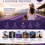 Premium Summer Journey ทัวร์ญี่ปุ่น HOKKAIDO LAVENDER PRESTIGE บินตรงการบินไทย Full Service อาหารพรีเมี่ยม ที่พัก4ดาวทำเลดี แช่ออนเซ็น2คืน