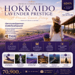 Premium Summer Journey ทัวร์ญี่ปุ่น HOKKAIDO LAVENDER PRESTIGE บินตรงการบินไทย Full Service อาหารพรีเมี่ยม ที่พัก4ดาวทำเลดี แช่ออนเซ็น2คืน