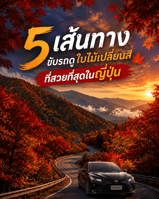 รวม 5 เส้นทางขับรถชมใบไม้เปลี่ยนสีที่ญี่ปุ่น ทั้งภูเขา ทะเลสาบ และถนนวิวธรรมชาติสุดอลังการ เหมาะสำหรับสาย Road Trip และคนรักการถ่ายภาพ