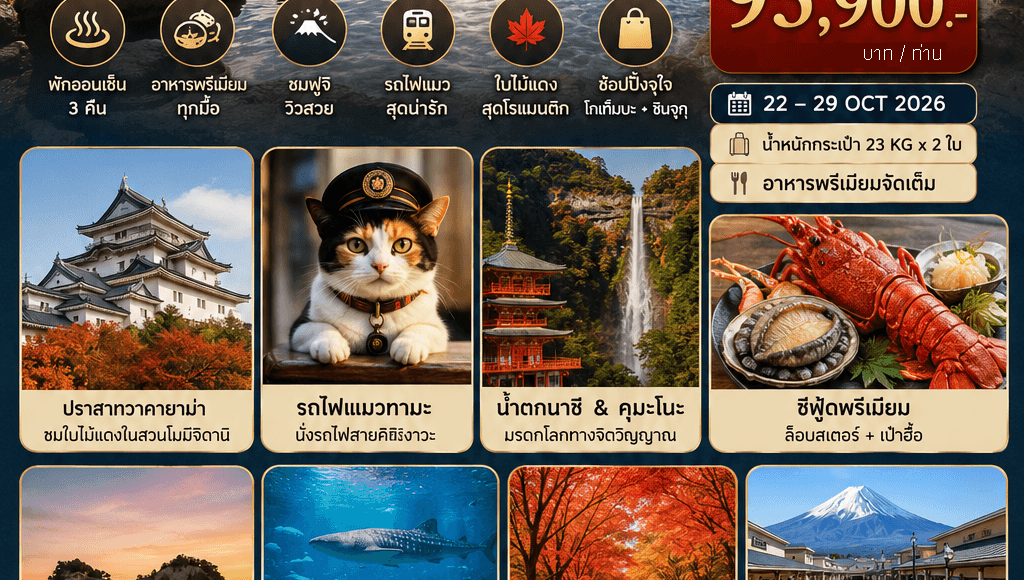 ทัวร์ญี่ปุ่นใบไม้เปลี่ยนสี ELEMENT OF FOOD WAKAYAMA TOKYO บินตรงเจแปนแอร์ไลน์ Full Service อาหารพรีเมี่ยม ที่พัก4ดาวทำเลดี แช่ออนเซ็น4คืนเต็ม
