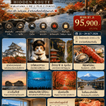 ทัวร์ญี่ปุ่นใบไม้เปลี่ยนสี ELEMENT OF FOOD WAKAYAMA TOKYO บินตรงเจแปนแอร์ไลน์ Full Service อาหารพรีเมี่ยม ที่พัก4ดาวทำเลดี แช่ออนเซ็น4คืนเต็ม