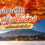 เที่ยวญี่ปุ่นฤดูใบไม้ร่วง ชมวิวภูเขาไฟฟูจิพร้อมใบไม้เปลี่ยนสีสีส้มแดง บรรยากาศสวยงาม เหมาะสำหรับวางแผนทริปญี่ปุ่นฤดูใบไม้ร่วง