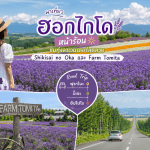 ภาพกราฟิกคอลลาจรวมสถานที่ท่องเที่ยวและกิจกรรมยอดนิยมสำหรับการมา เที่ยวฮอกไกโดหน้าร้อน โดยมีพาดหัวภาษาไทยขนาดใหญ่ตรงกลางว่า "พาเที่ยวฮอกไกโดหน้าร้อน ชมทุ่งลาเวนเดอร์สุดสวย Shikisai no Oka และ Farm Tomita" ด้านซ้ายบนเป็นภาพหญิงสาวสวมหมวกฟางหันหลังมองทุ่งดอกไม้สีม่วงกว้างไกล ด้านซ้ายล่างมีป้ายไม้ฟาร์มโทมิตะตั้งอยู่หน้าทุ่งลาเวนเดอร์ ส่วนตรงกลางด้านล่างเป็นแผนผังวงกลมแสดงเส้นทางโรดทริป (Road Trip) ฟูราโนะ-บิเอะ-ซัปโปโร และมุมขวาล่างเป็นภาพถนนลาดยางสองเลนทอดยาวเป็นเส้นตรงมุ่งสู่ภูเขาที่มีต้นไม้สีเขียวขจีขนาบสองข้างทาง สื่อถึงการเดินทางท่องเที่ยวด้วยตัวเองในฤดูร้อนที่สมบูรณ์แบบ