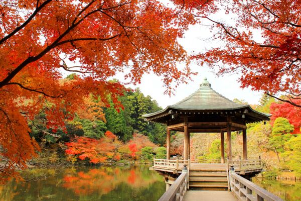 紅葉の季節にぴったりの成田山新勝寺へ日帰り散歩 | ぷらんジャ