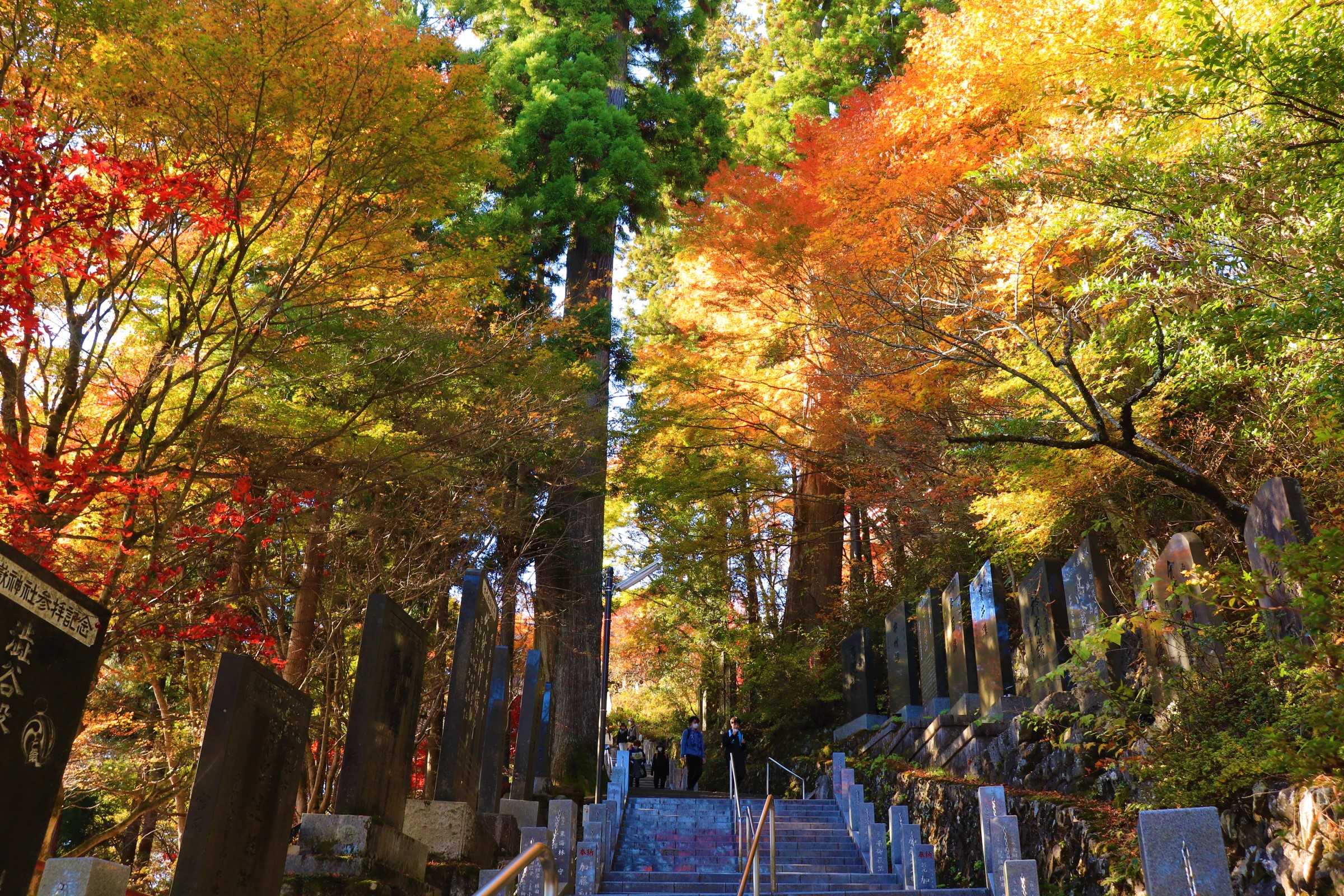 御岳山天空もみじまつり|ケーブルカーで紅葉の見頃時期を迎えた御岳山に混雑覚悟の観光登山に挑戦! - まじこのブログ~50代日帰り登山日記!