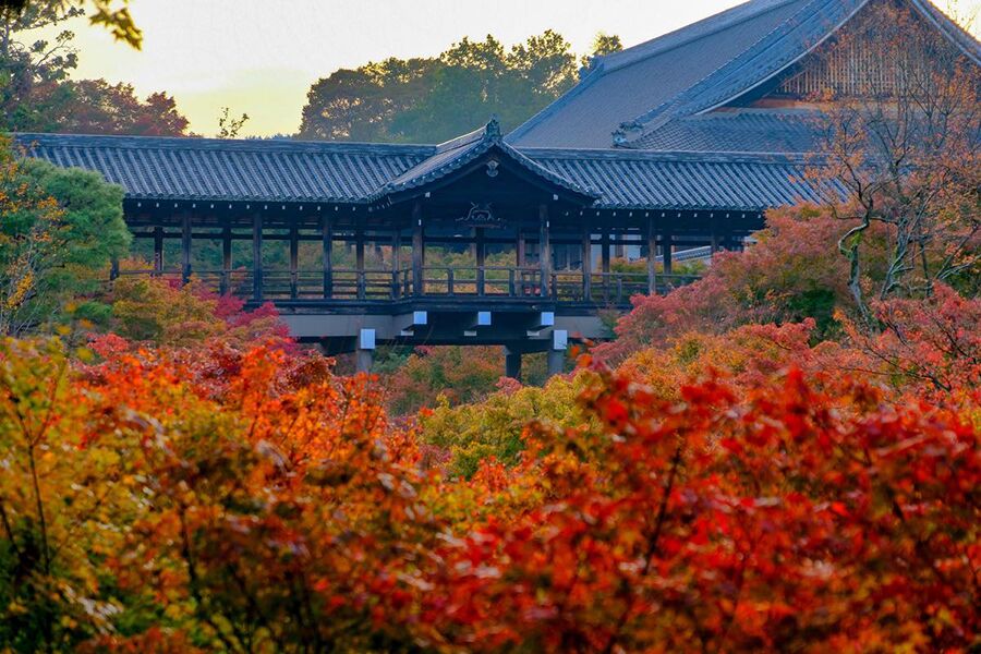 3連休に出かけよう♪ 紅葉名所の見ごろは？ （2018/11/21更新）｜そうだ 京都、行こう。