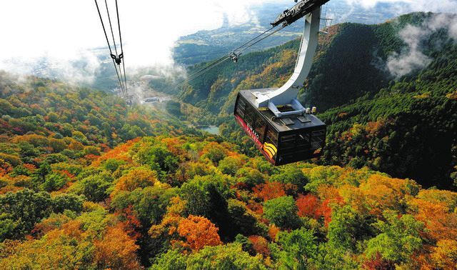 山肌染める錦秋 びわ湖バレイで紅葉見頃：中日新聞Web