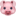 🐷