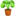🪴