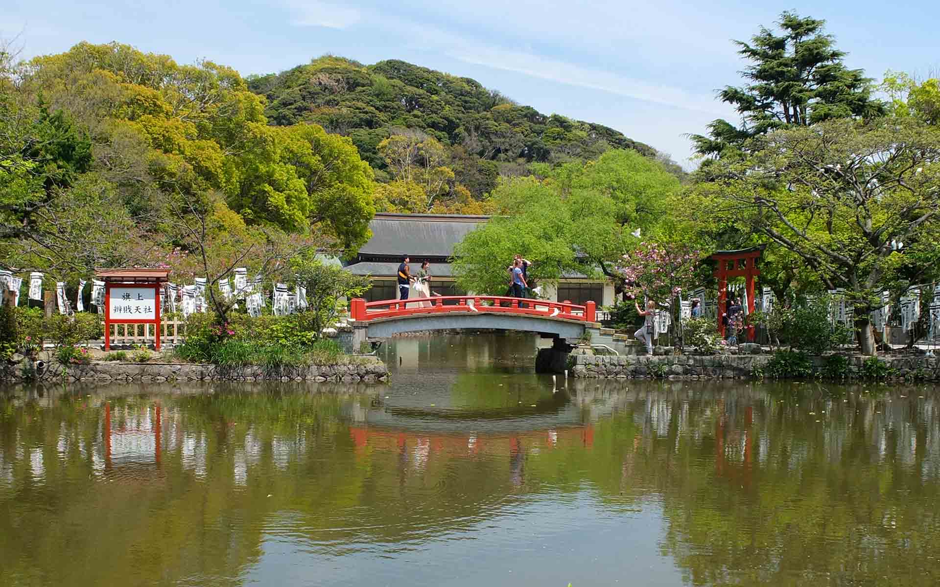 なぜ鎌倉の鶴岡八幡宮には鳩が多いのか。シンボルになった鳩の秘密 | 中川政七商店の読みもの