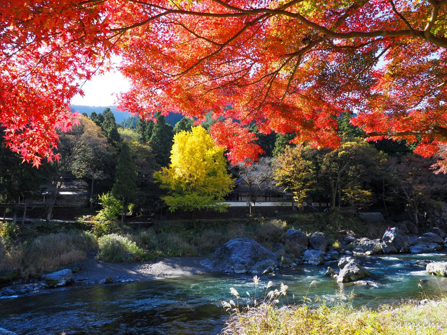 秋の御岳渓谷で紅葉狩り!遊歩道は歩きやすいので軽ハイキングにピッタリなコース。