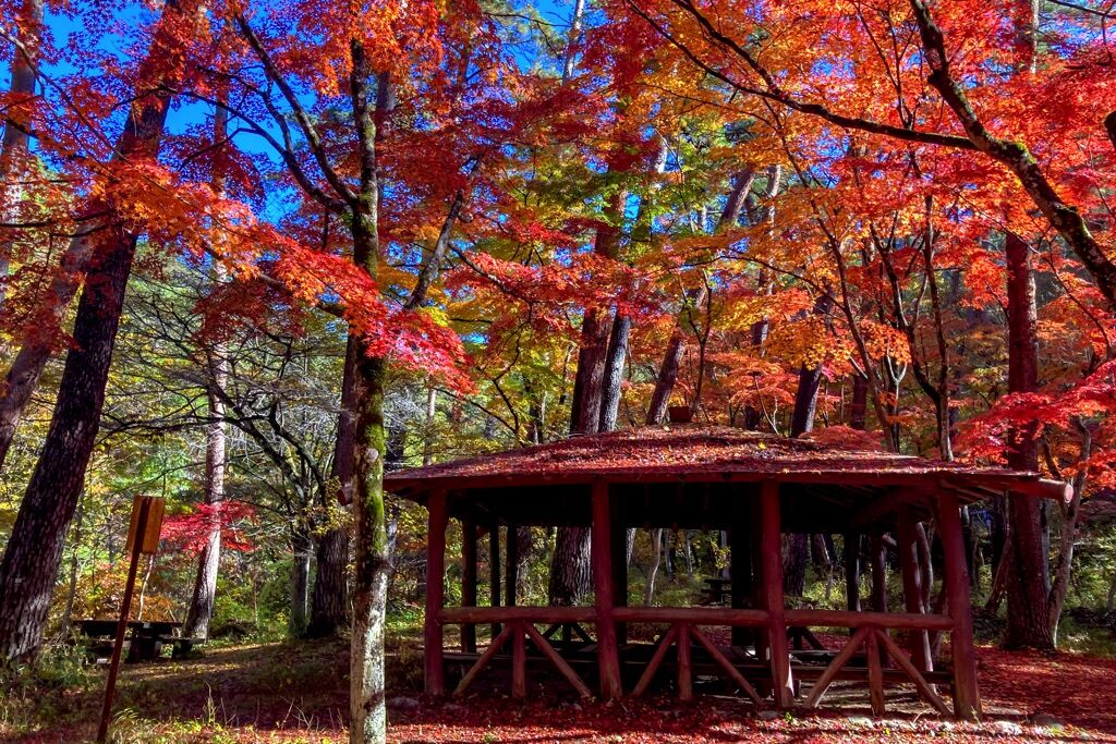 昇仙峡 - 甲府市 | 山梨の人気紅葉スポット2022秋 | PORTA